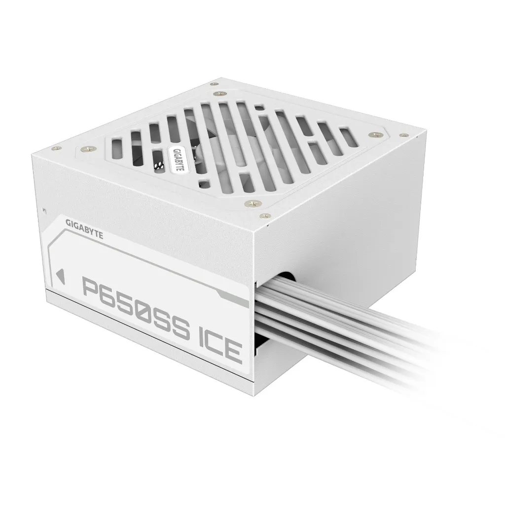 P650SS-ICE-4.webp