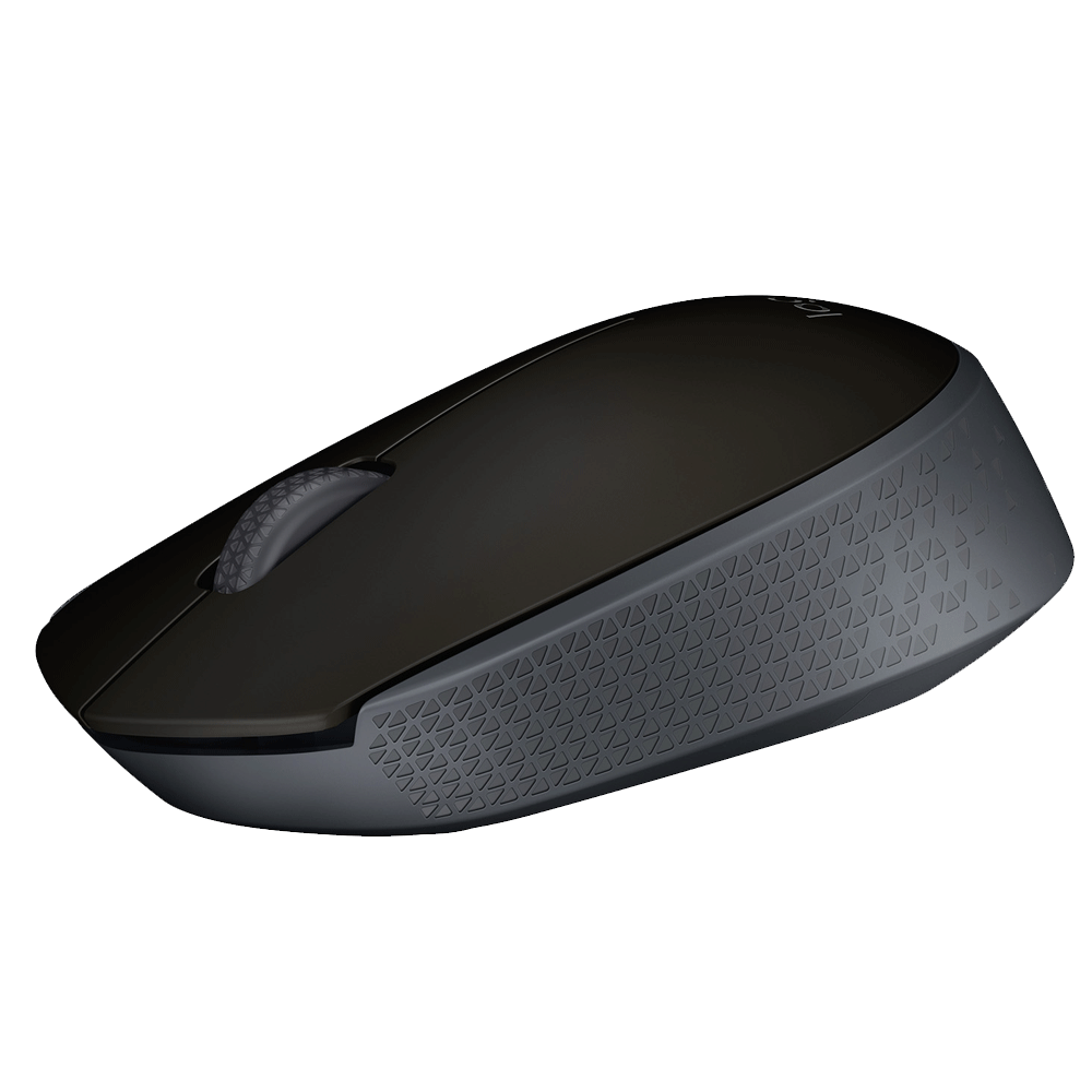 Mouse Logitech M170 Wireless Black 910-004940