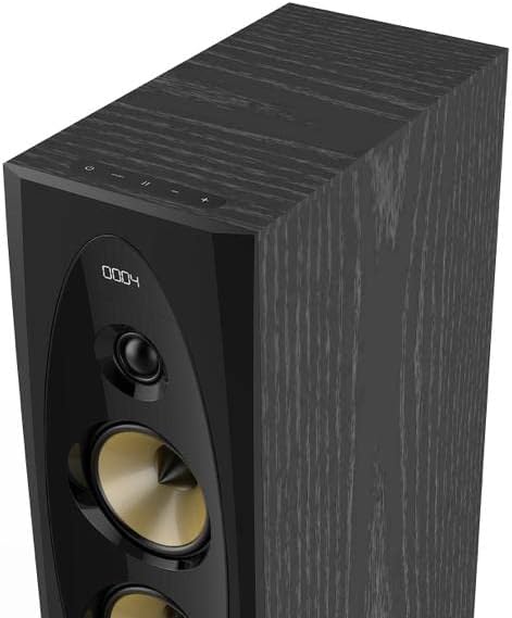 Parlante FYD Fenda T-60X Pro Negro 